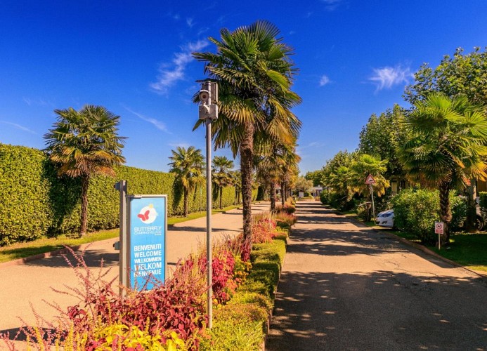 Ferienpark Butterfly Mobilehome Aida Gelb 