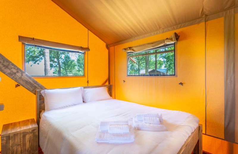 Tenuta Regina Glamping Luxury Lodge