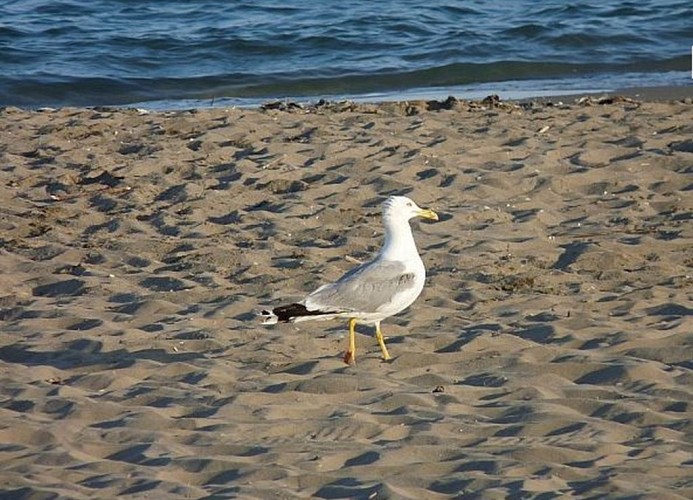 Feriendorf Italy Mobilehome Happy Relax